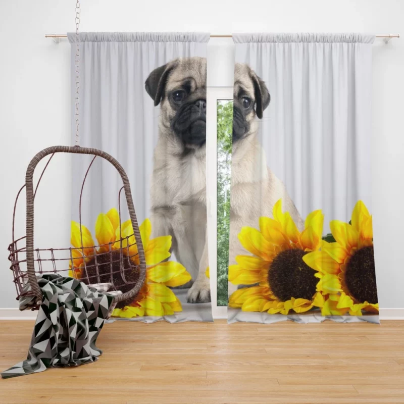 Pug Playful Charm Snowy Playtime Curtain