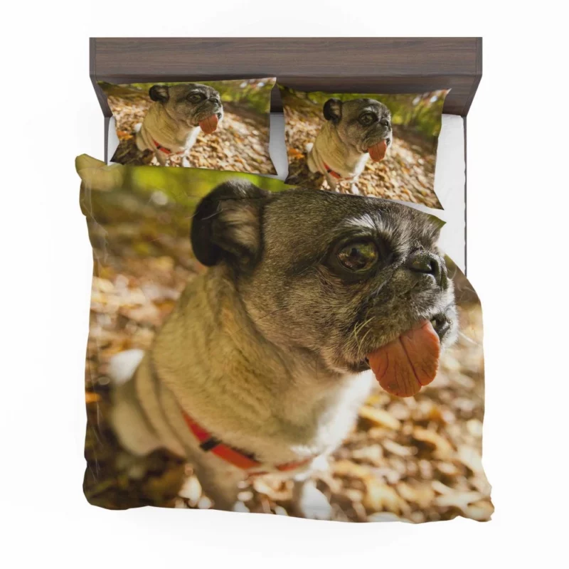 Pug Playful Dog Bedding Set 1