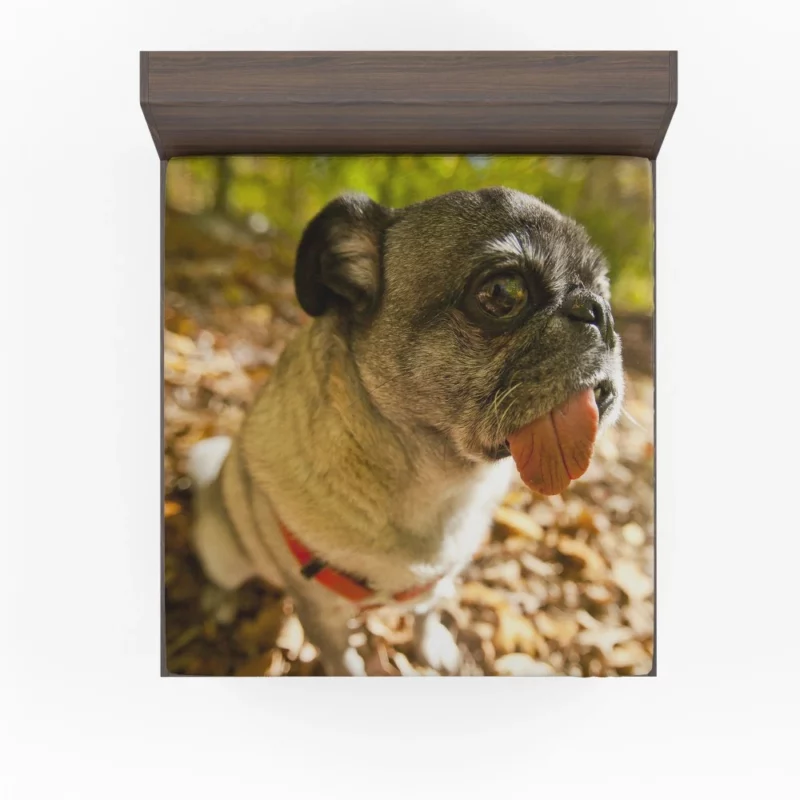 Pug Playful Dog Fitted Sheet 1