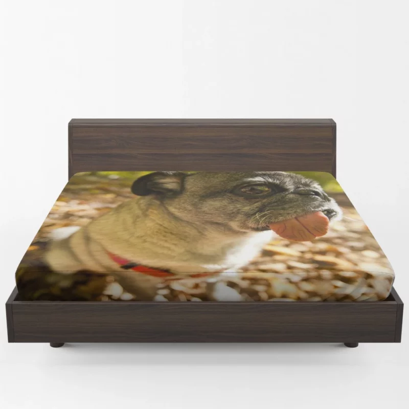 Pug Playful Dog Fitted Sheet