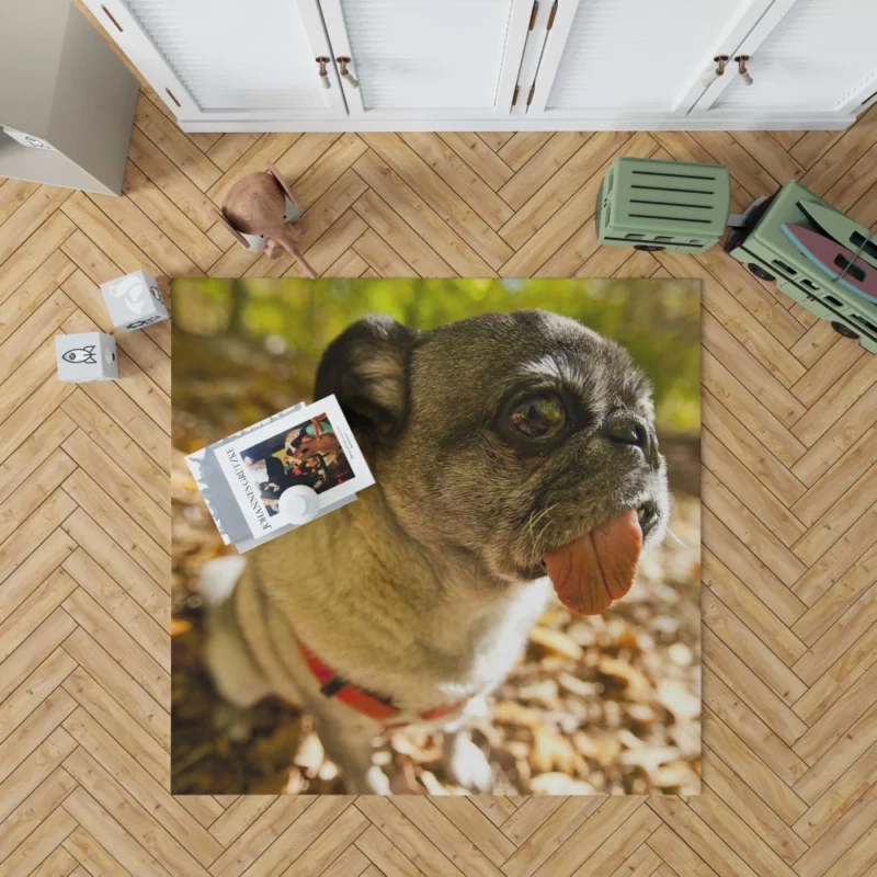 Pug Playful Dog Rug