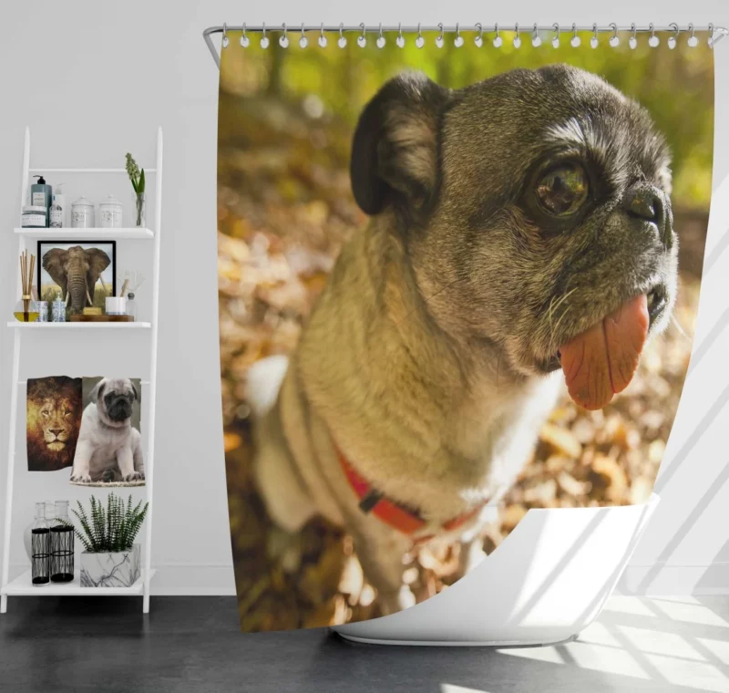 Pug Playful Dog Shower Curtain