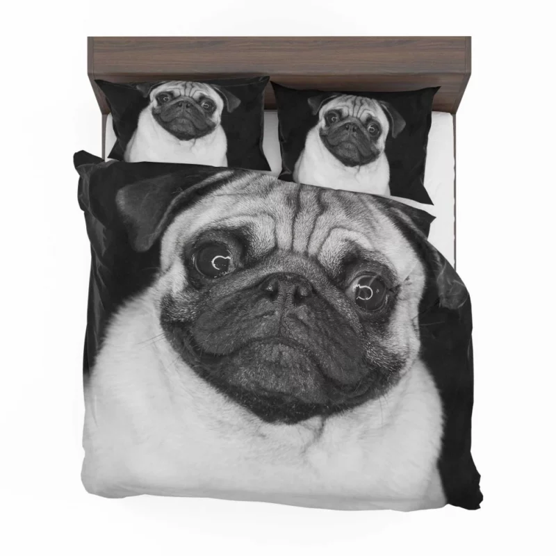 Pug Posing Perfection Playful Poses Bedding Set 1