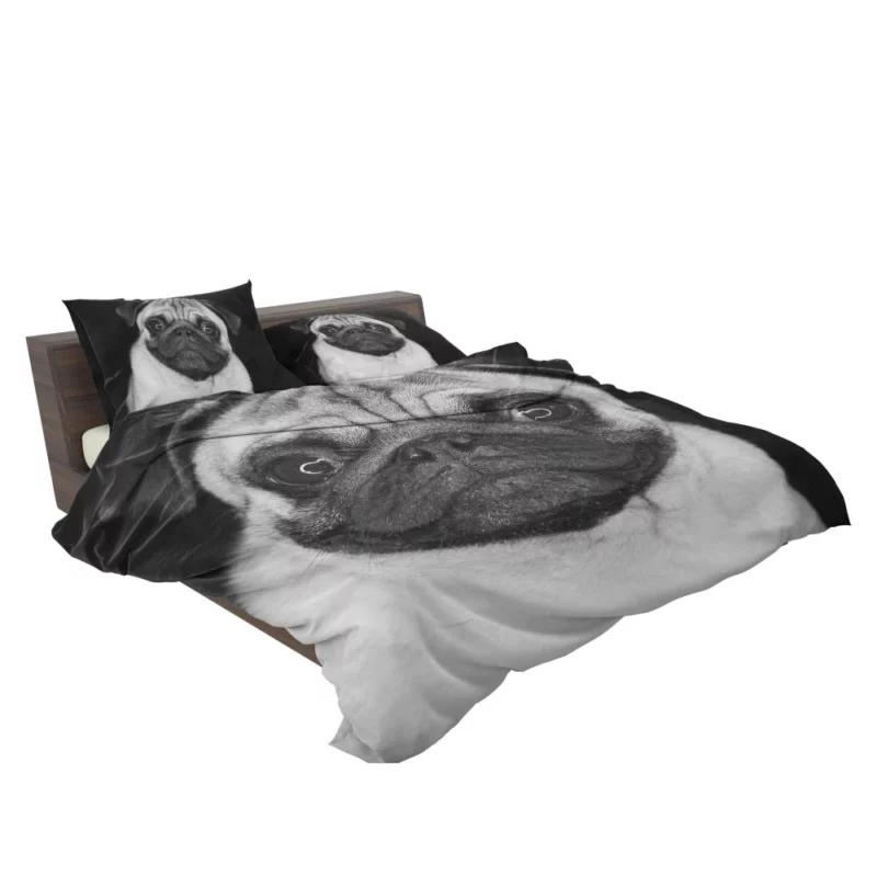 Pug Posing Perfection Playful Poses Bedding Set 2