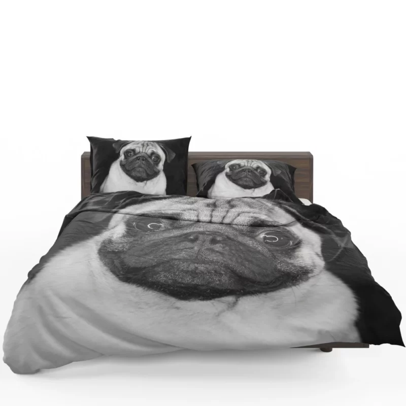 Pug Posing Perfection Playful Poses Bedding Set