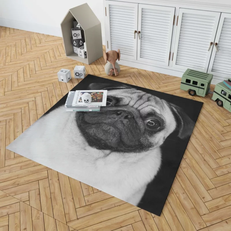 Pug Posing Perfection Playful Poses Rug 1