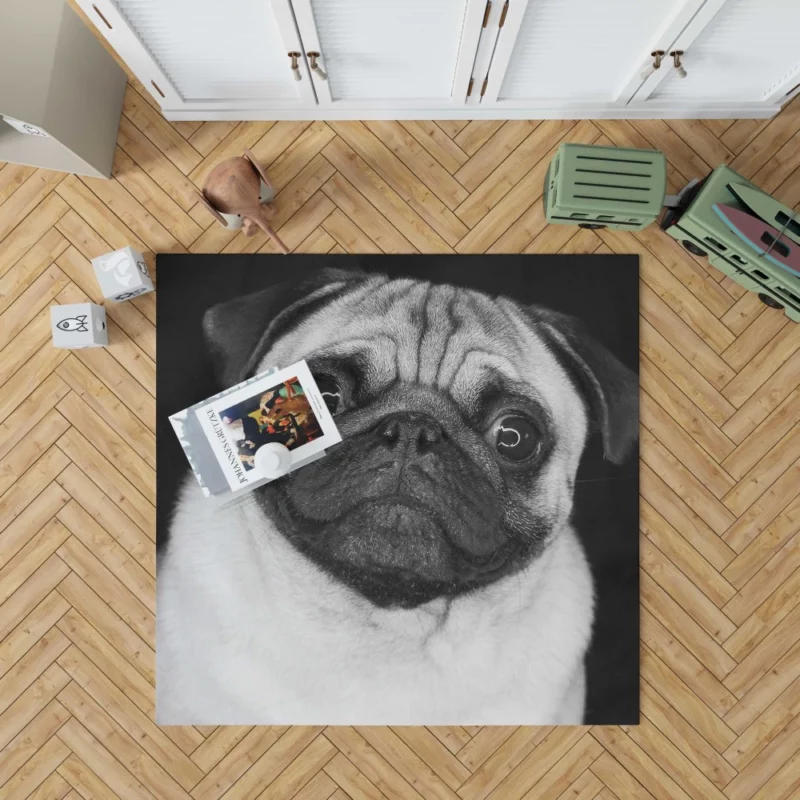 Pug Posing Perfection Playful Poses Rug