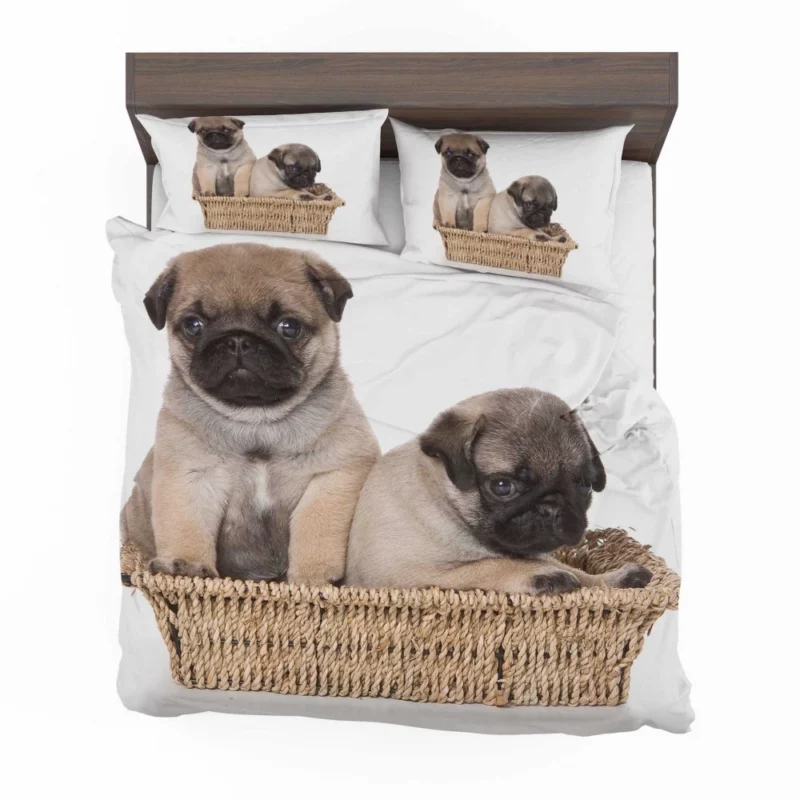 Pug Puppy Adorable Expression Cuteness Bedding Set 1