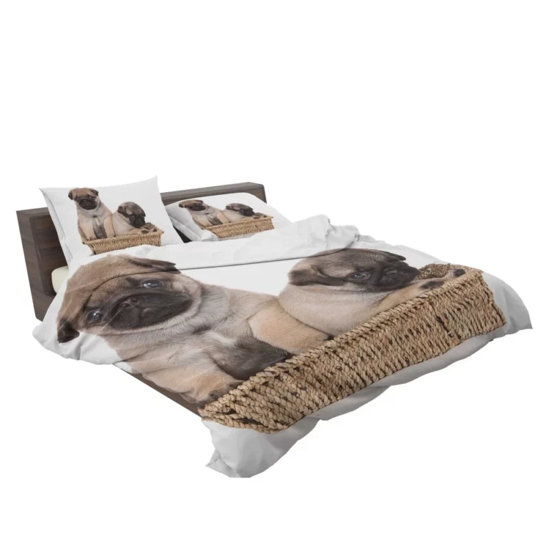 Pug Puppy Adorable Expression Cuteness Bedding Set 2