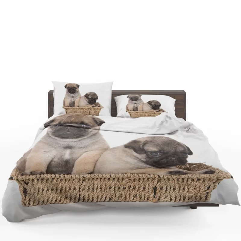 Pug Puppy Adorable Expression Cuteness Bedding Set