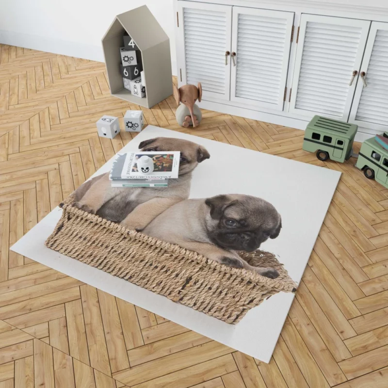 Pug Puppy Adorable Expression Cuteness Rug 1