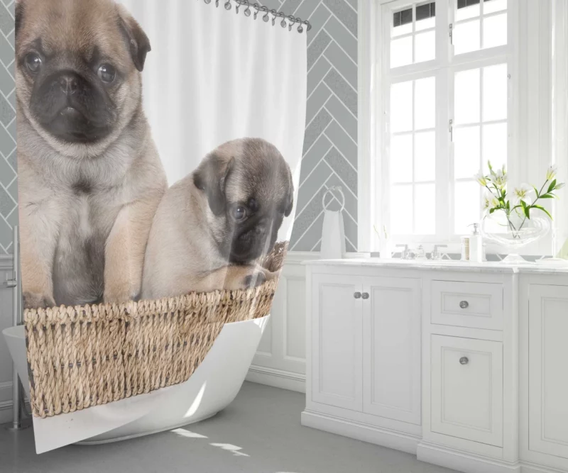 Pug Puppy Adorable Expression Cuteness Shower Curtain 1