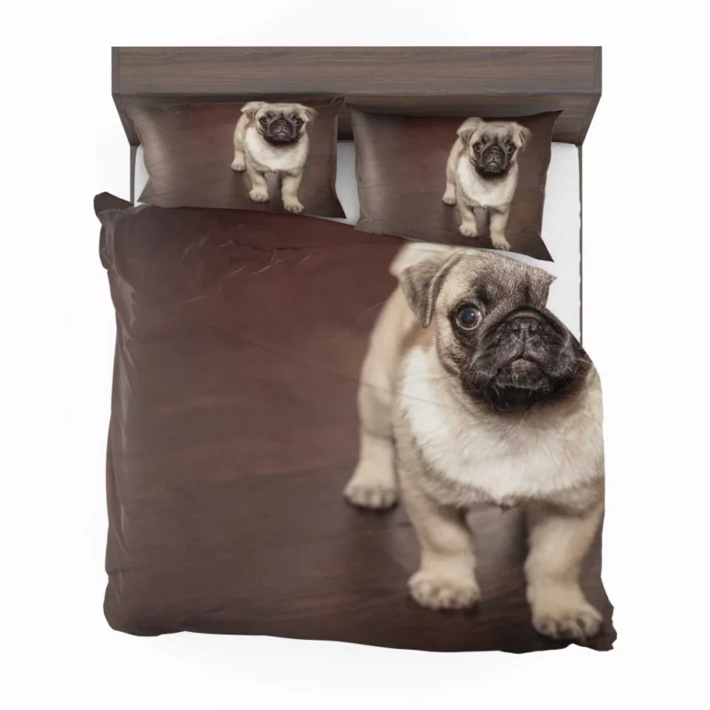 Pug Puppy Adorable Innocence Bedding Set 1