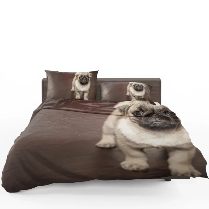 Pug Puppy Adorable Innocence Bedding Set