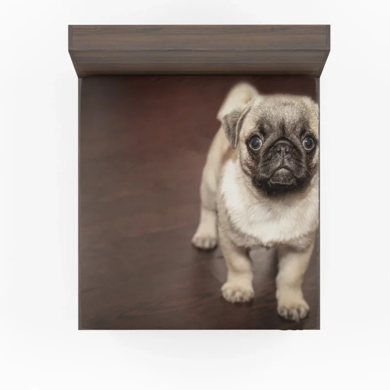 Pug Puppy Adorable Innocence Fitted Sheet 1