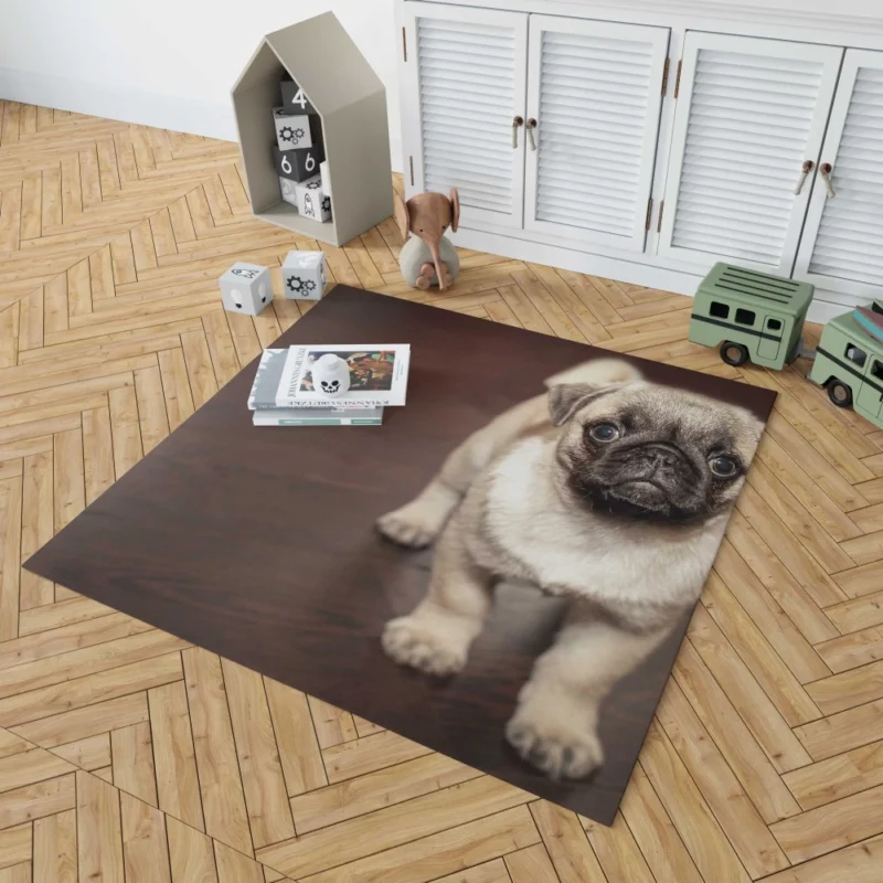 Pug Puppy Adorable Innocence Rug 1