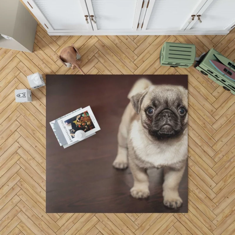 Pug Puppy Adorable Innocence Rug