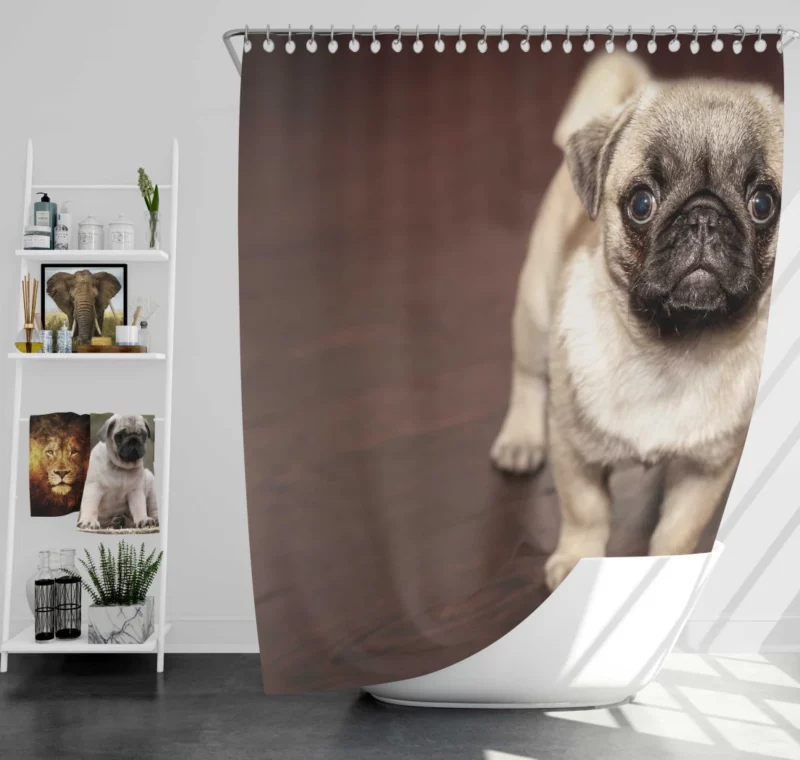 Pug Puppy Adorable Innocence Shower Curtain