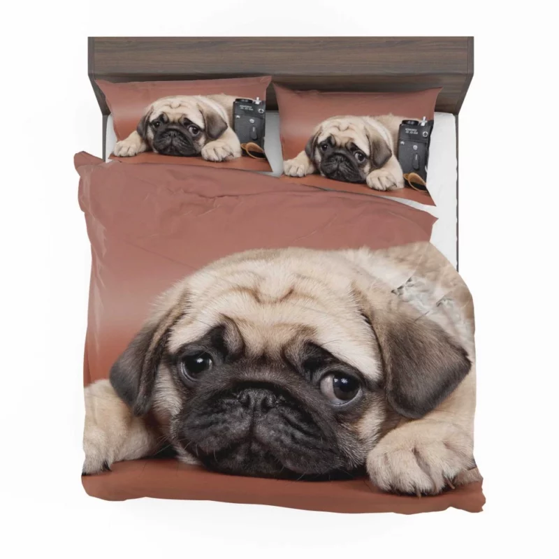 Pug Puppy Eyes Heartfelt Innocence Bedding Set 1