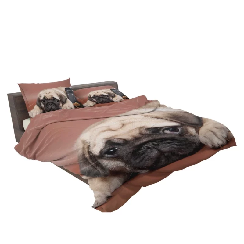 Pug Puppy Eyes Heartfelt Innocence Bedding Set 2