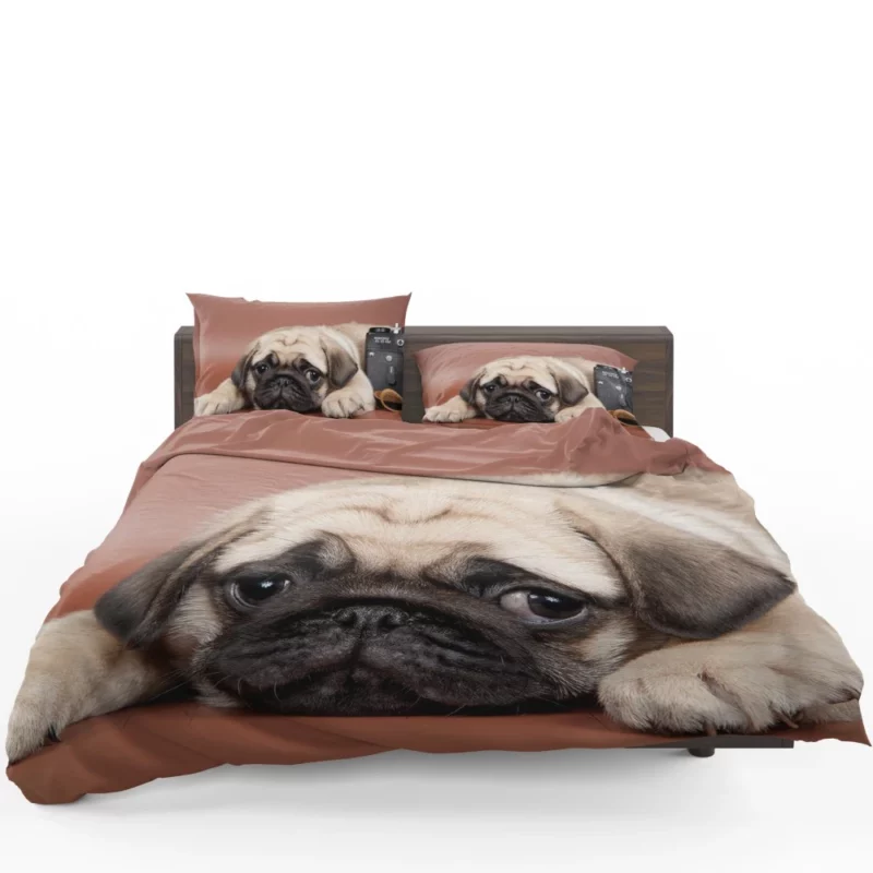 Pug Puppy Eyes Heartfelt Innocence Bedding Set