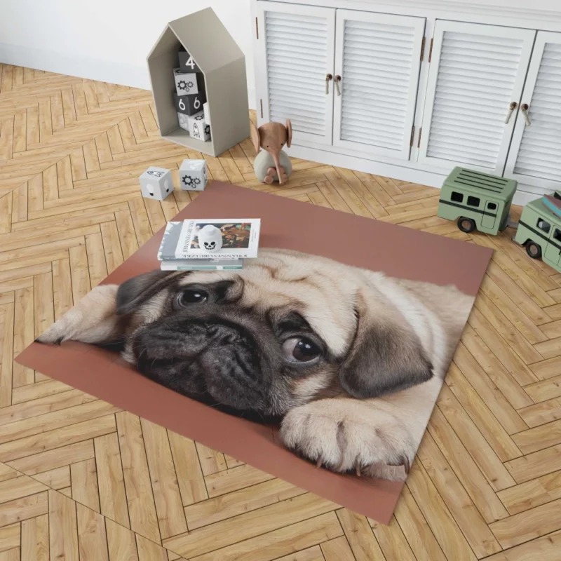 Pug Puppy Eyes Heartfelt Innocence Rug 1