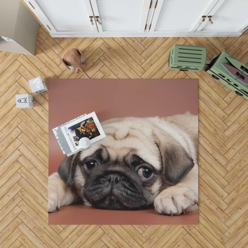 Pug Puppy Eyes Heartfelt Innocence Rug