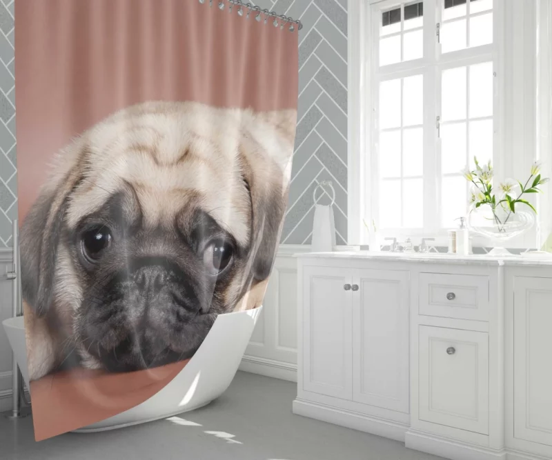 Pug Puppy Eyes Heartfelt Innocence Shower Curtain 1