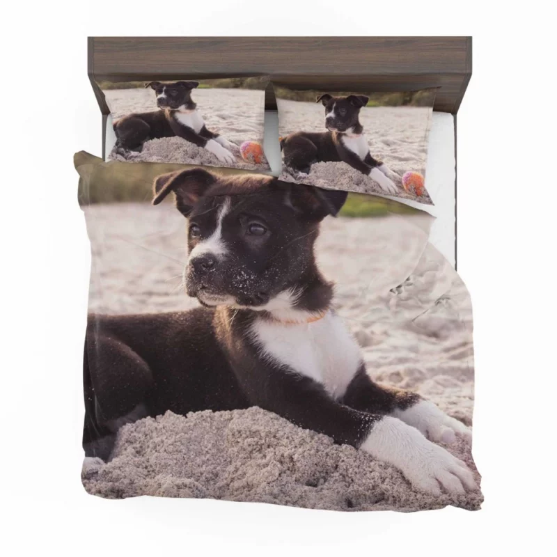 Puppy Beach Adventure Playful Delight Bedding Set 1