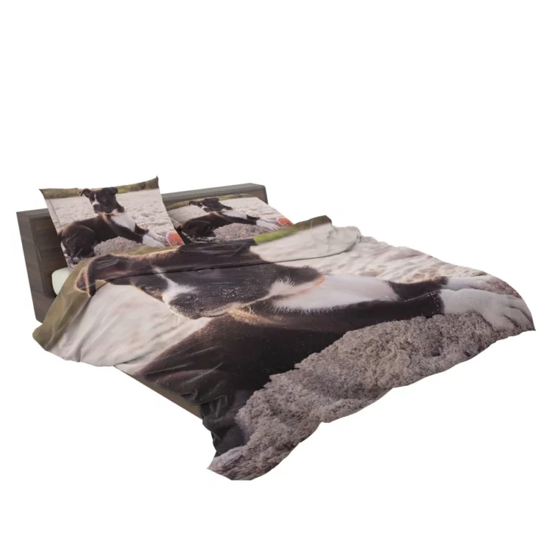 Puppy Beach Adventure Playful Delight Bedding Set 2