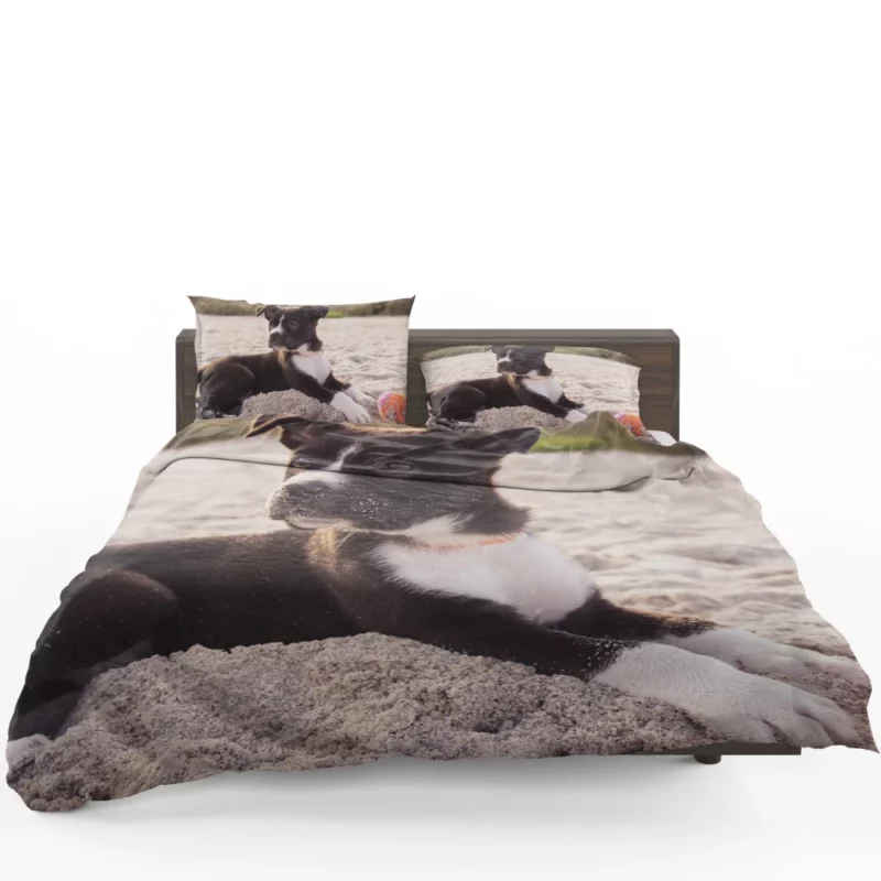 Puppy Beach Adventure Playful Delight Bedding Set