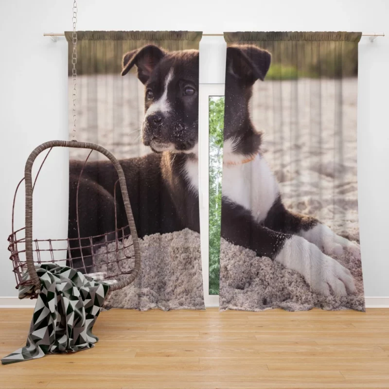 Puppy Beach Adventure Playful Delight Curtain