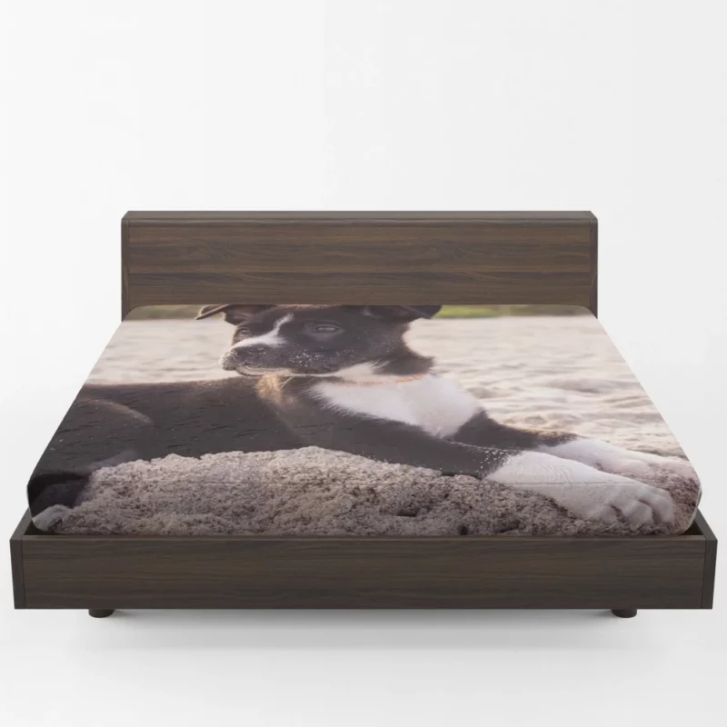 Puppy Beach Adventure Playful Delight Fitted Sheet