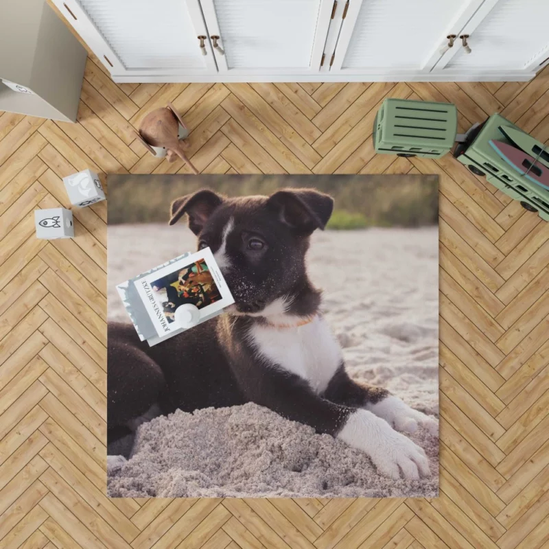 Puppy Beach Adventure Playful Delight Rug