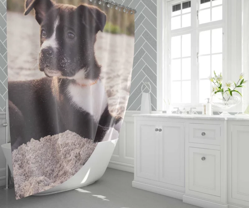 Puppy Beach Adventure Playful Delight Shower Curtain 1