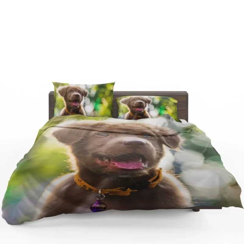 Puppy Bokeh Beauty Innocent Essence Bedding Set