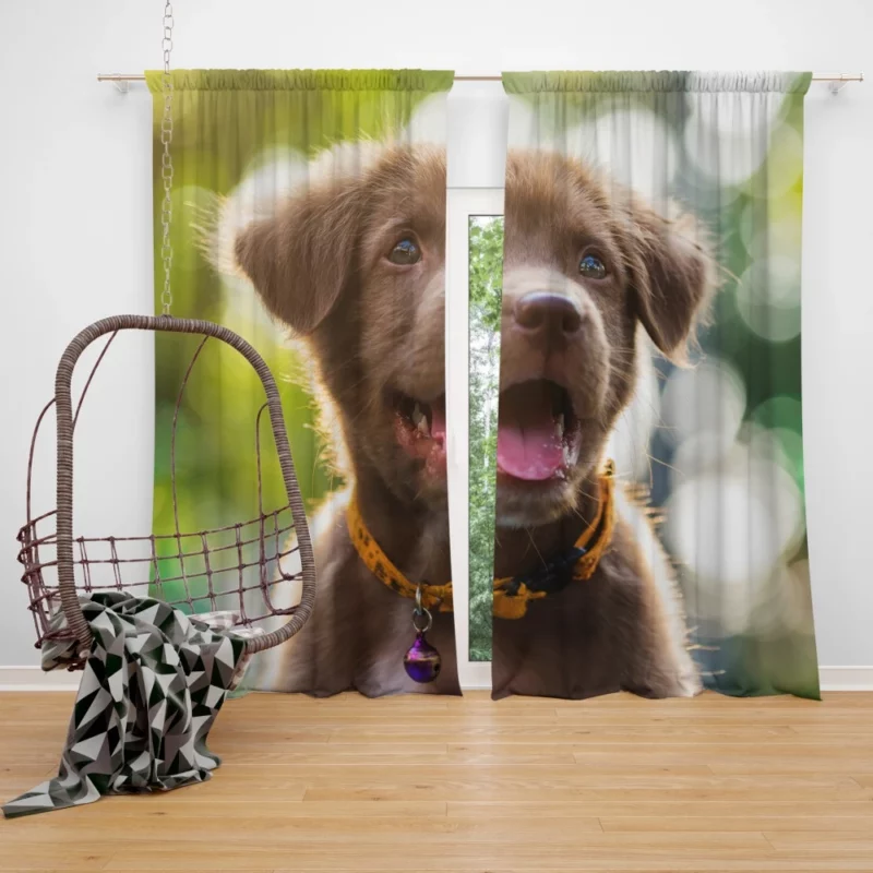 Puppy Bokeh Beauty Innocent Essence Curtain