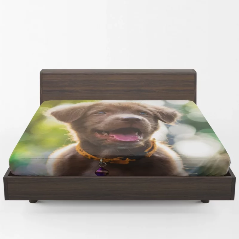 Puppy Bokeh Beauty Innocent Essence Fitted Sheet