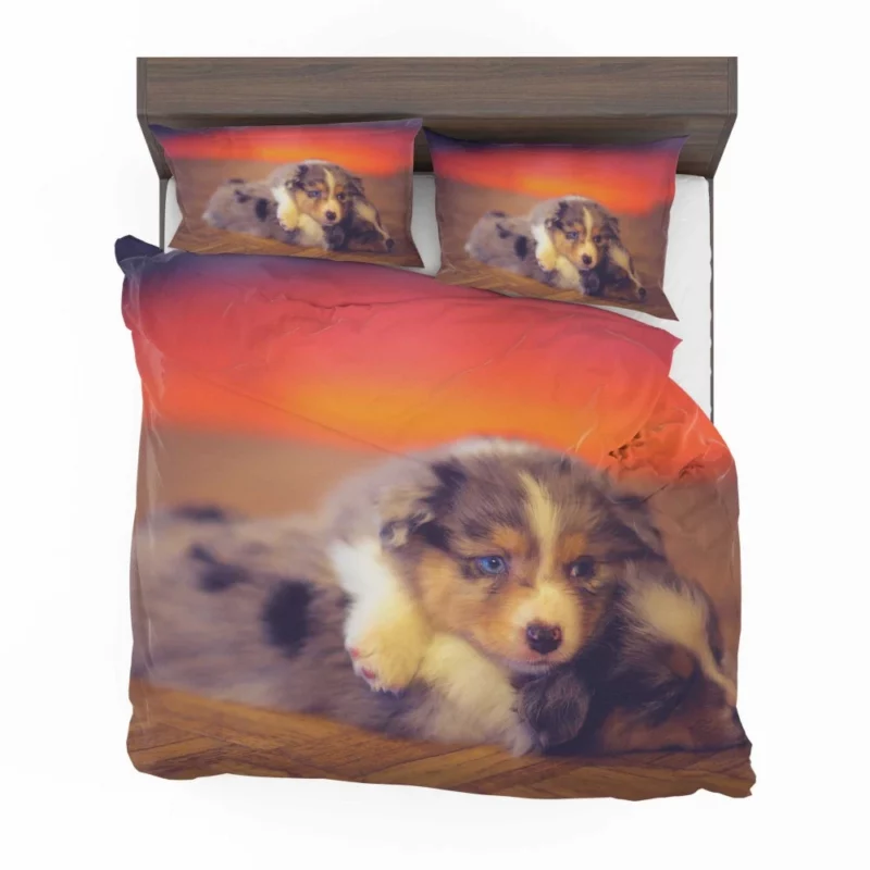 Puppy Canine Cuteness Aussie Appeal Bedding Set 1