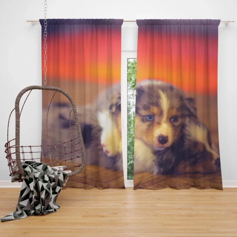 Puppy Canine Cuteness Aussie Appeal Curtain