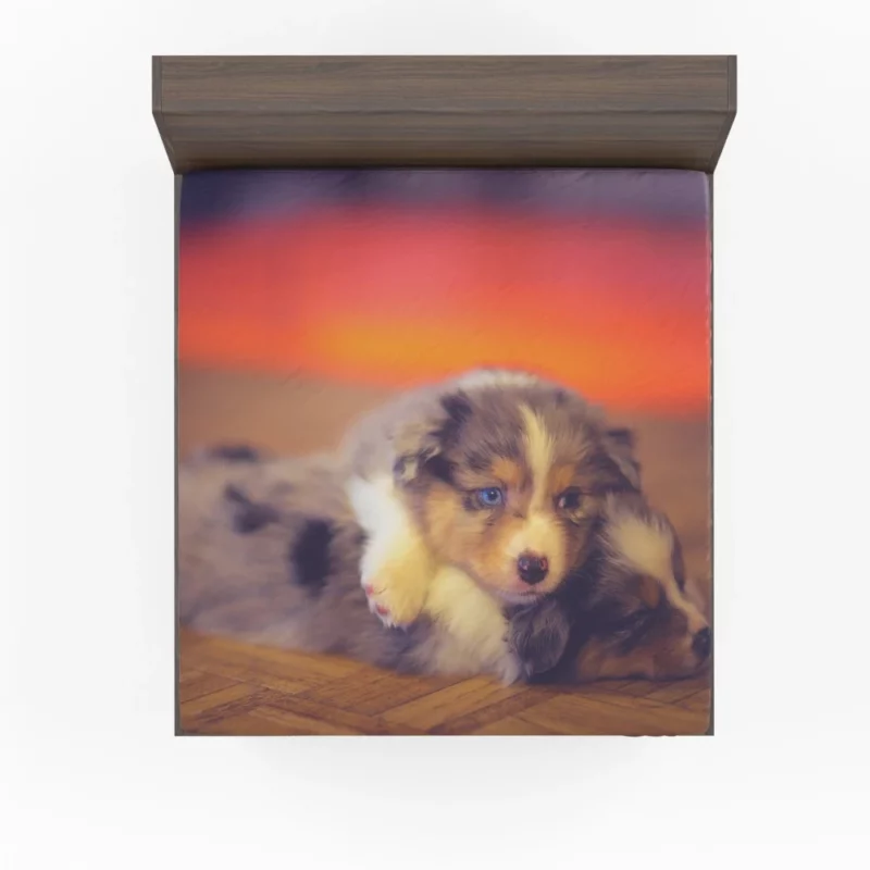 Puppy Canine Cuteness Aussie Appeal Fitted Sheet 1