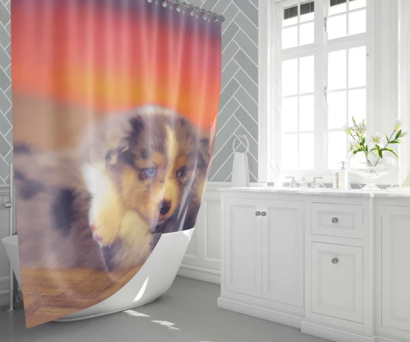 Puppy Canine Cuteness Aussie Appeal Shower Curtain 1