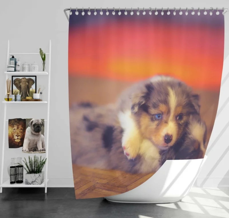 Puppy Canine Cuteness Aussie Appeal Shower Curtain