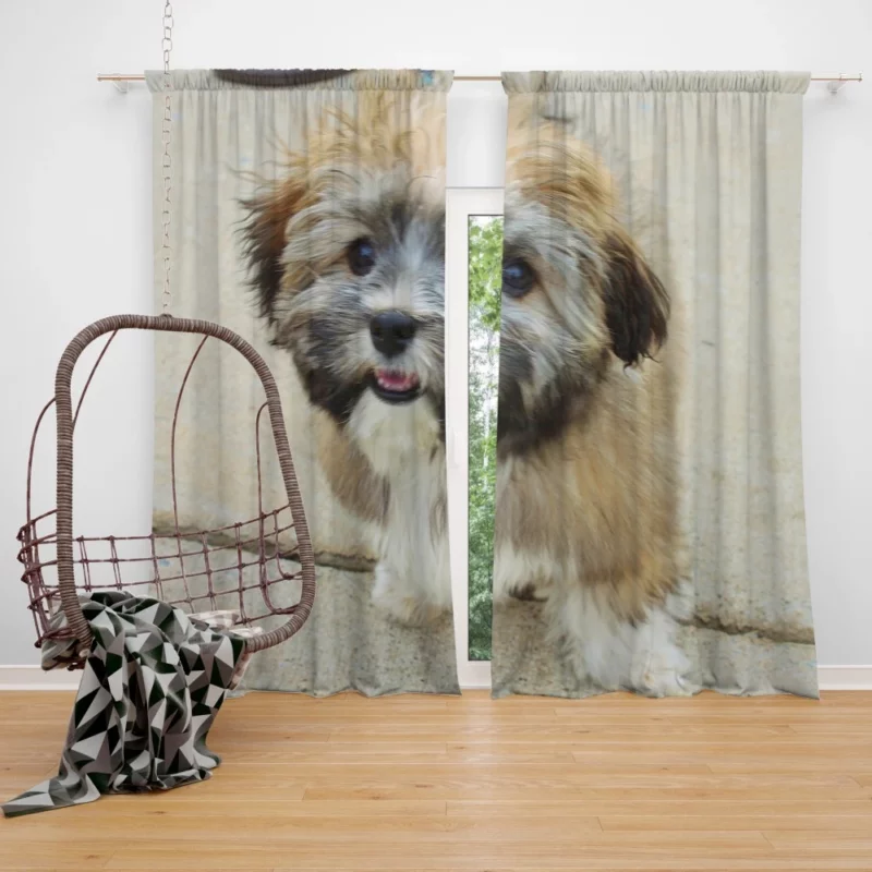 Puppy Cuteness Bundle of Joy Curtain