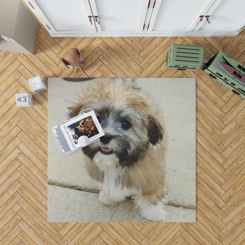 Puppy Cuteness Bundle of Joy Rug