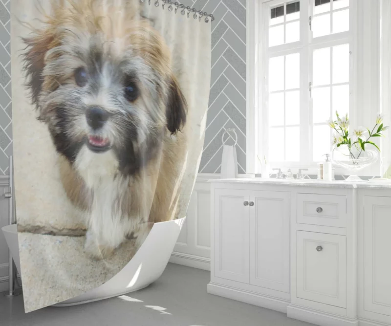 Puppy Cuteness Bundle of Joy Shower Curtain 1