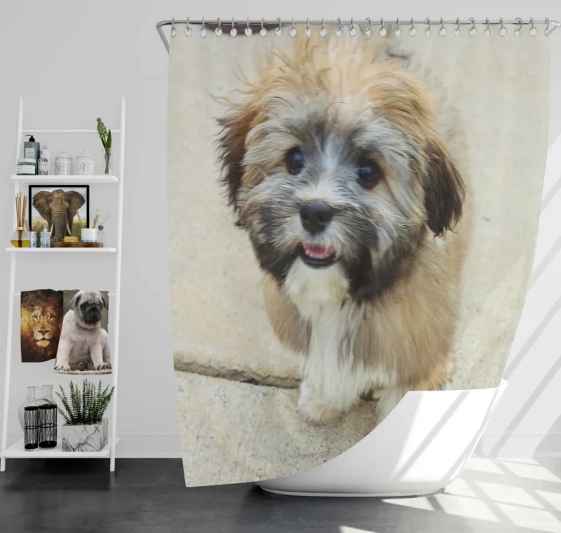 Puppy Cuteness Bundle of Joy Shower Curtain