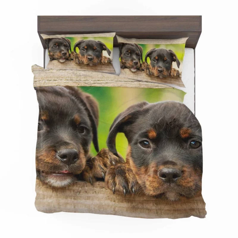 Puppy Innocence Rottweiler Playfulness Bedding Set 1