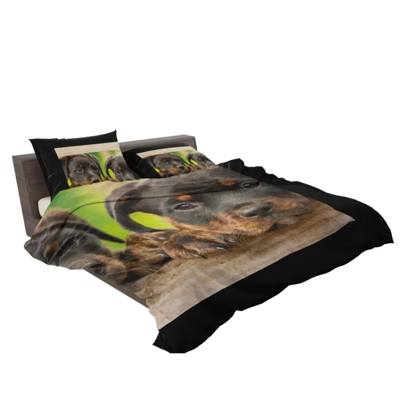 Puppy Innocence Rottweiler Playfulness Bedding Set 2