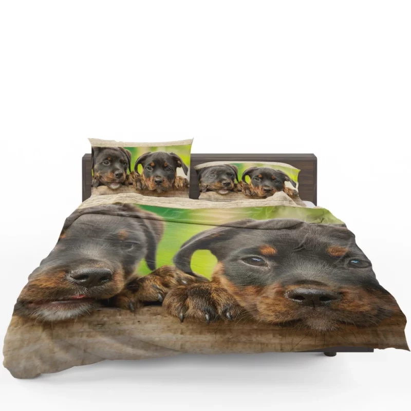 Puppy Innocence Rottweiler Playfulness Bedding Set